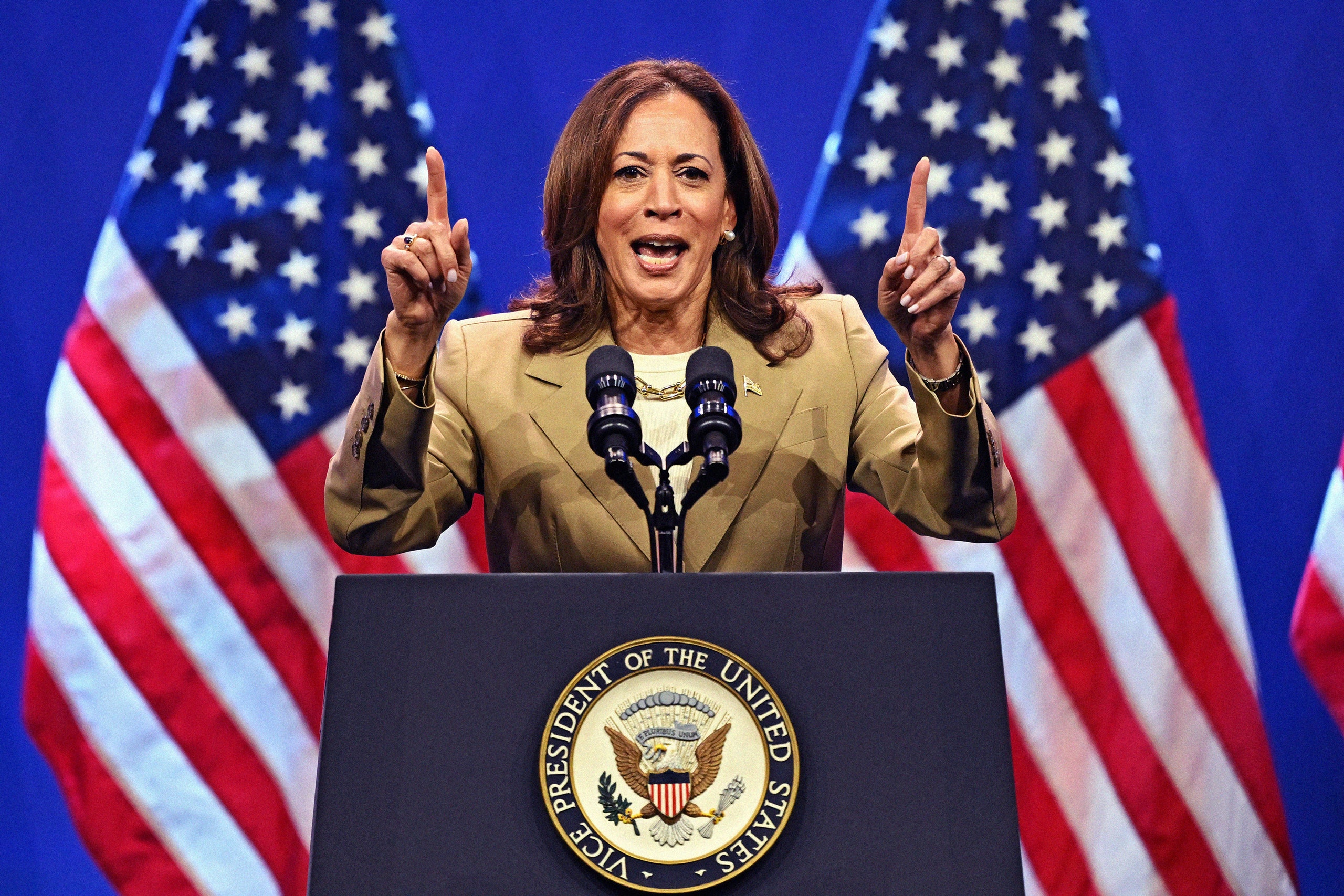 Image may contain Kamala Harris Flag Electrical Device Microphone People Person Crowd Adult Accessories and Jewelry